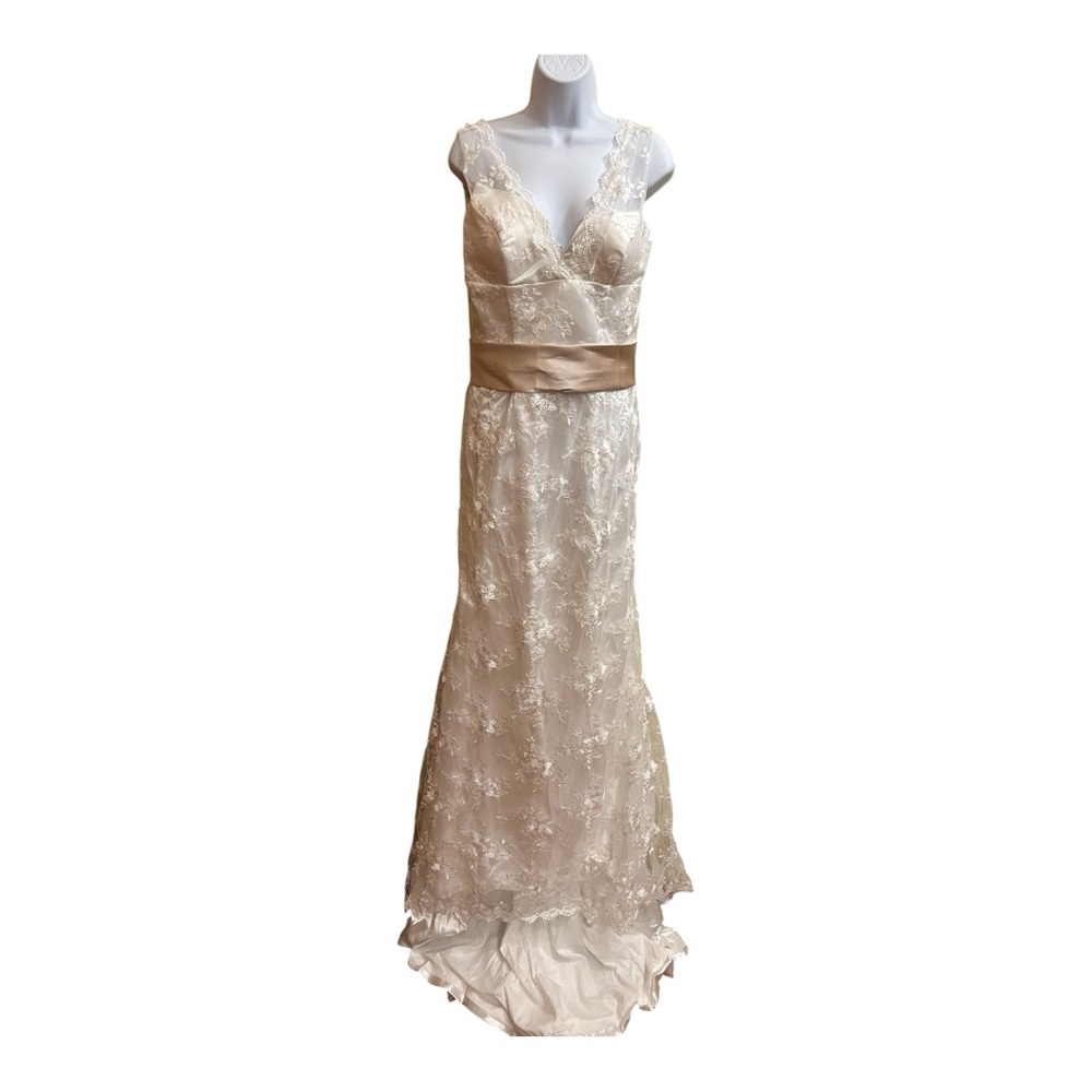 Elegant Lace Ivory Dress (fits like a 6)